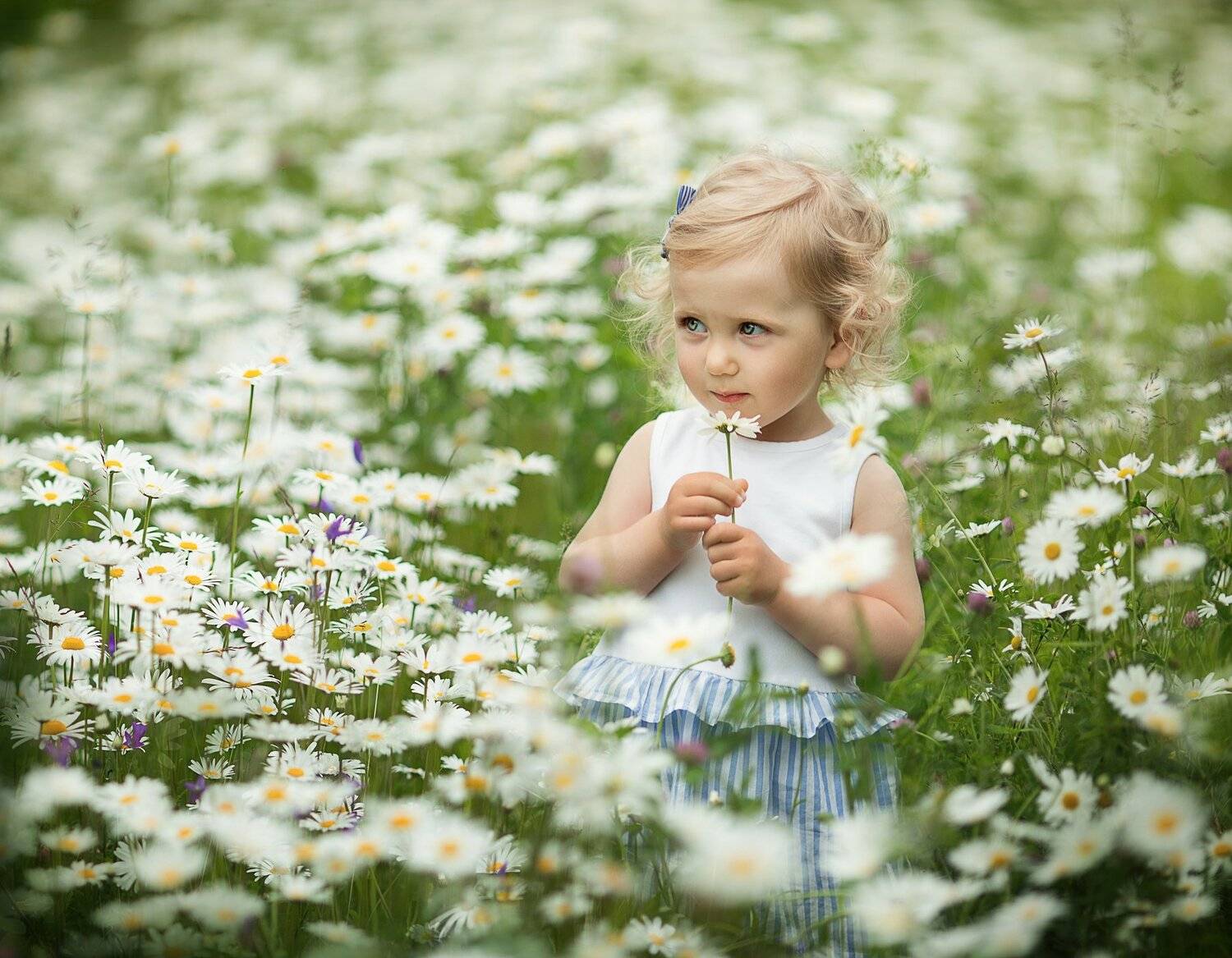 , Диана Аникеева