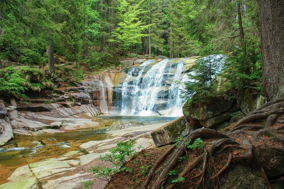 лес,река,водопад,, Zadorina Svetlana