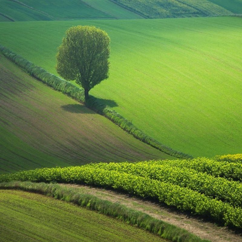 Roztocze (Polska) фото превью