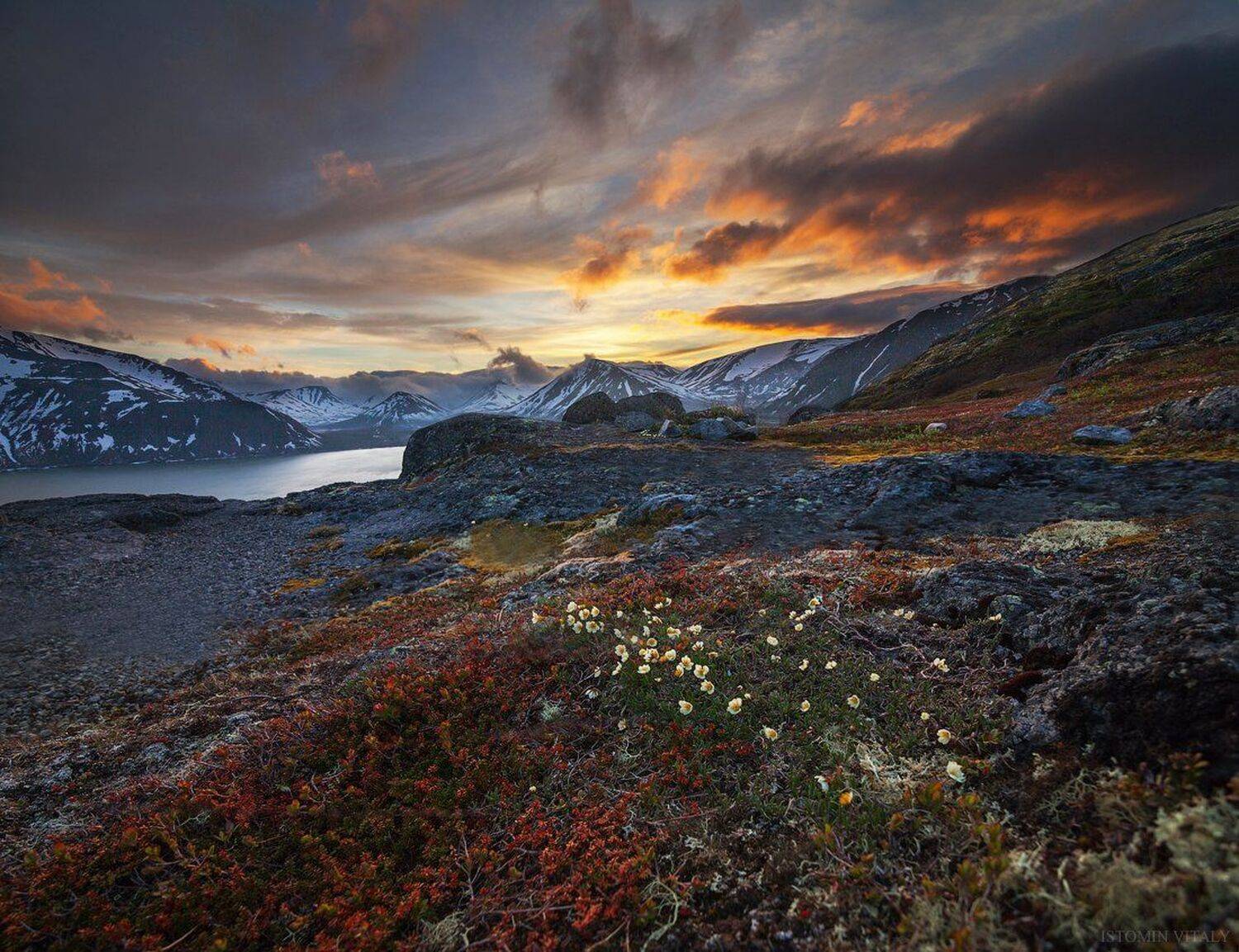 пейзаж,небо,хибины,россия,панорама,цветы,лето,снег,июнь,перспектива,кольский север,горы, Виталий Истомин