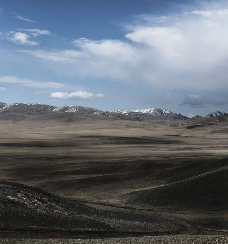 Что там впереди? фото превью