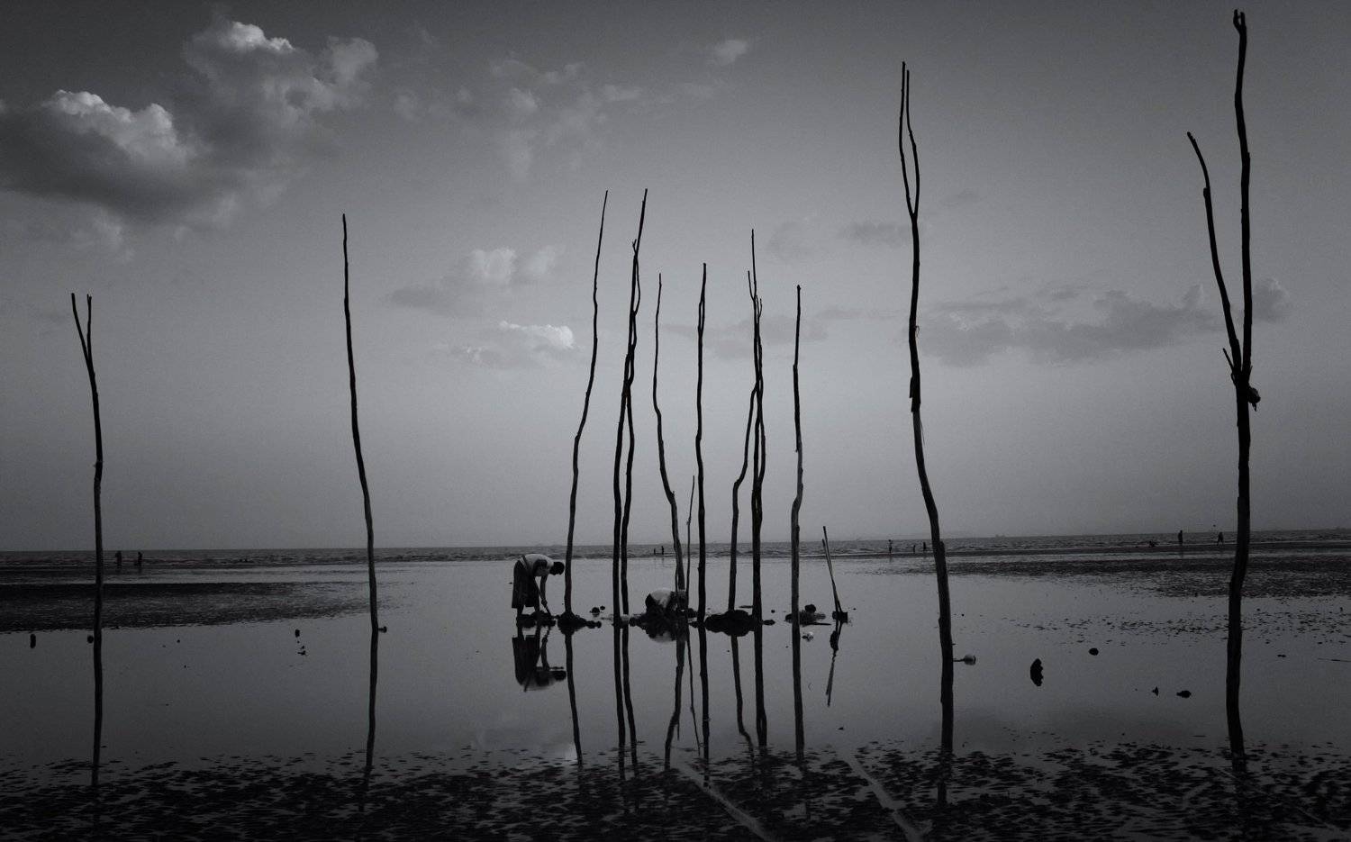 Iran Bandarabbas Mehdi Nazeri Mehdi_Nazeri  Photography, Mehdi Nazeri