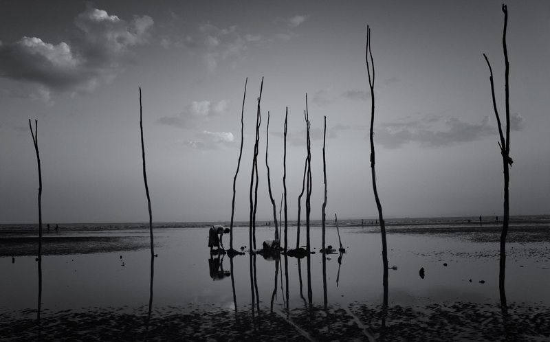 Iran Bandarabbas Mehdi Nazeri Mehdi_Nazeri  Photography Moshta фото превью