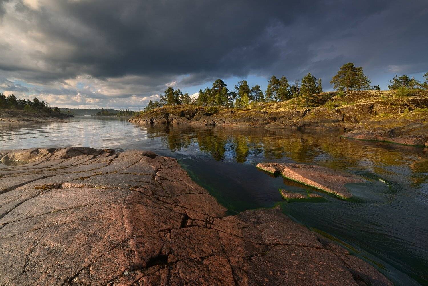 , Максим Евдокимов (www.wildphotorus.ru)