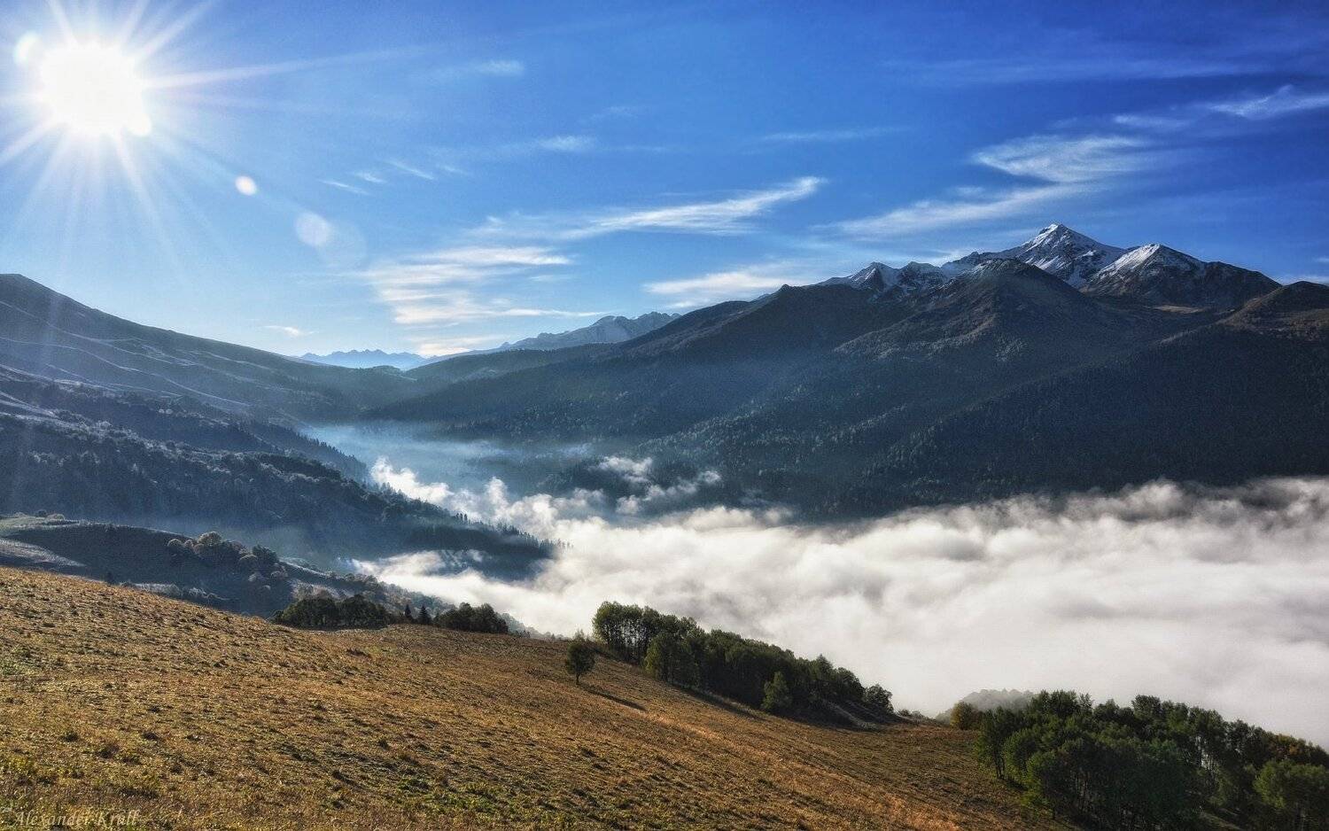 , Александр Круль
