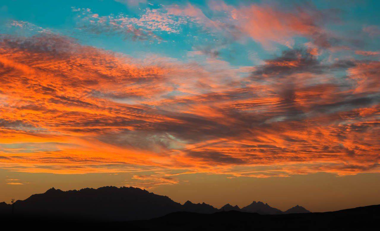 , Анисимова Ольга Леонидовна