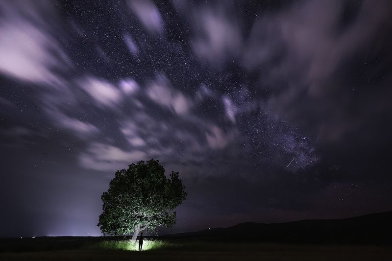 night, stars, sky, clouds, tree, landscape, outdoor, nature, milky way Summer night фото превью