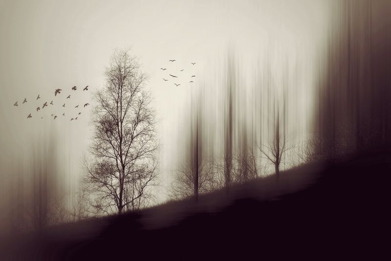 My work фото превью