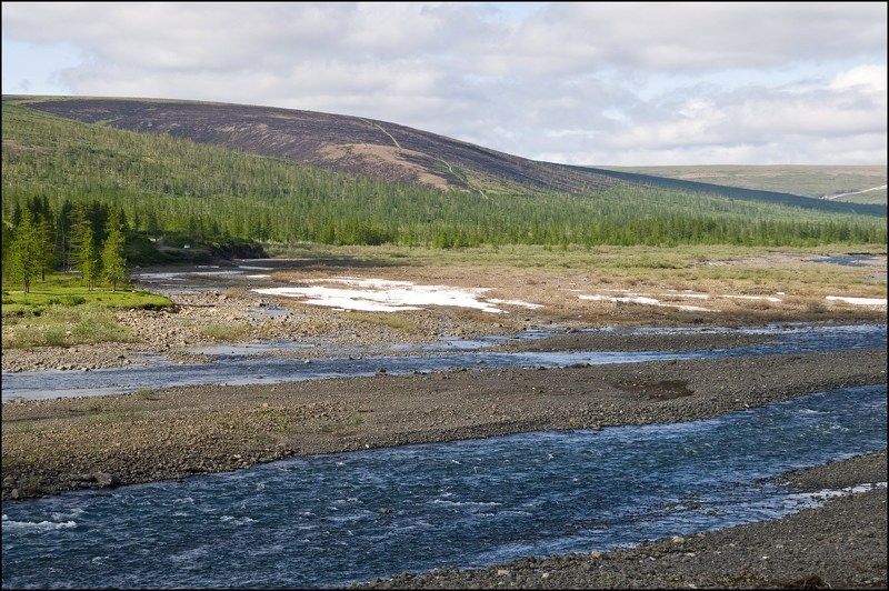 Таймыр,река,лето У реки фото превью