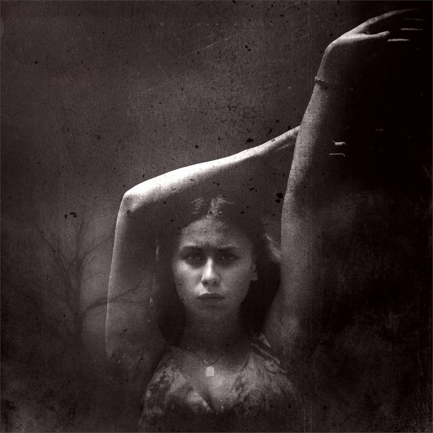 , Владислав Холодков