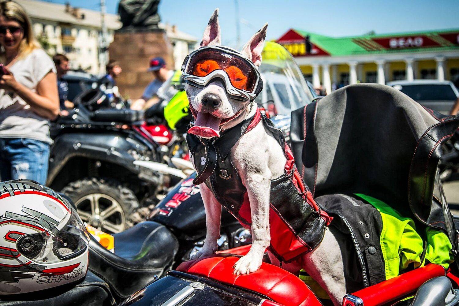 , Павел Сагайдак