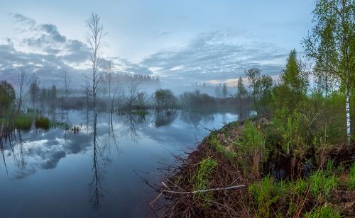 Затопленный ручей, или туманный рассвет