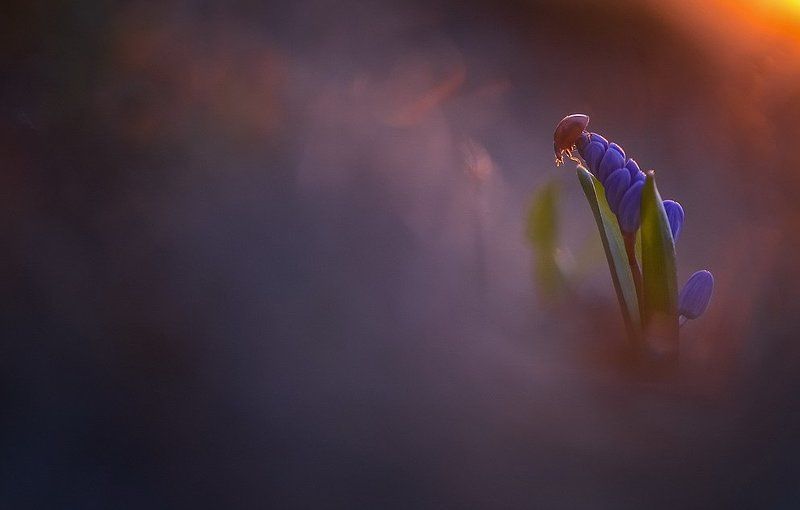 Вспоминается фото превью