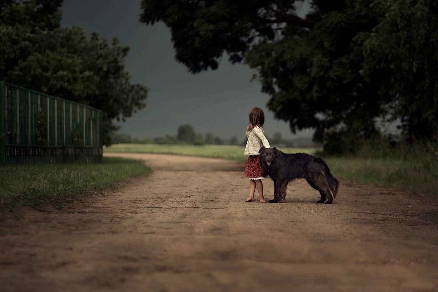 , Дарья Степанова