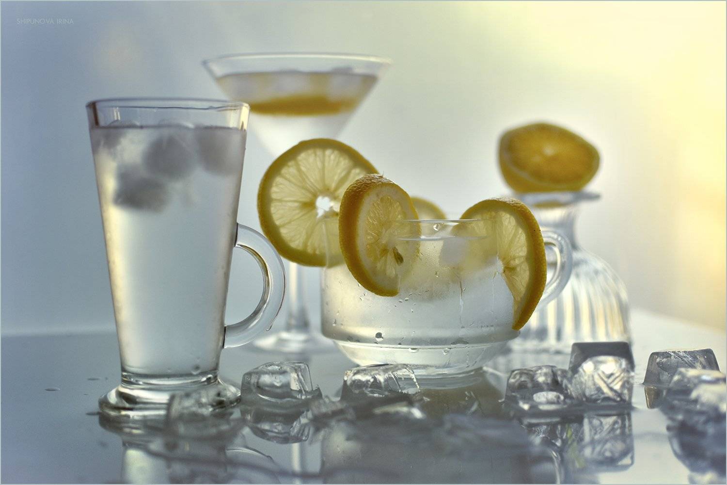 , Шипунова Ирина