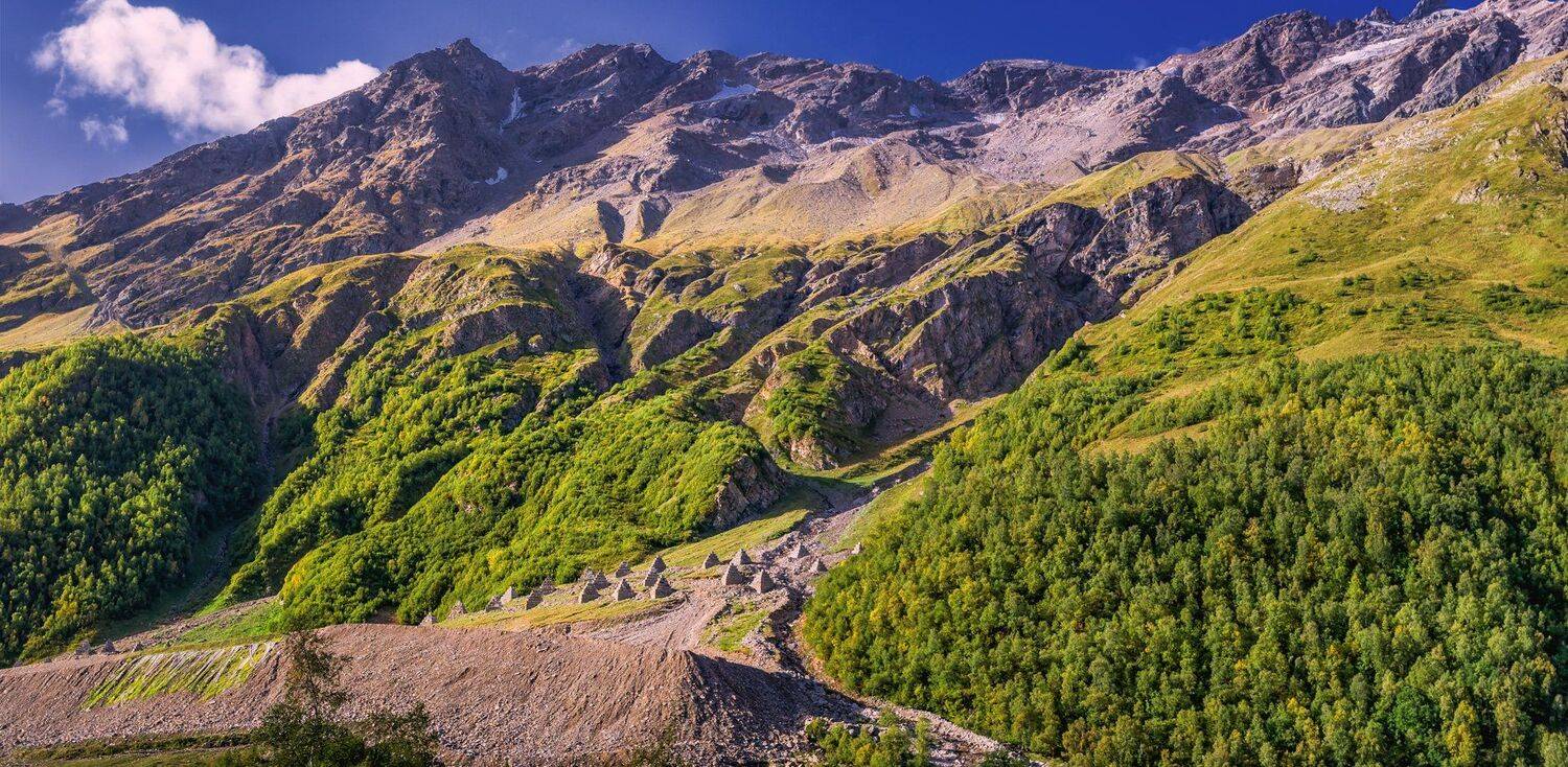 , Игорь Мелекесцев