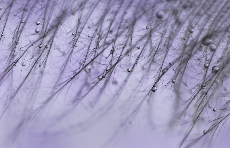 - фото превью