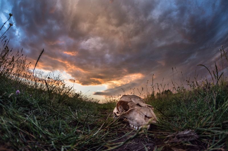 *** фото превью