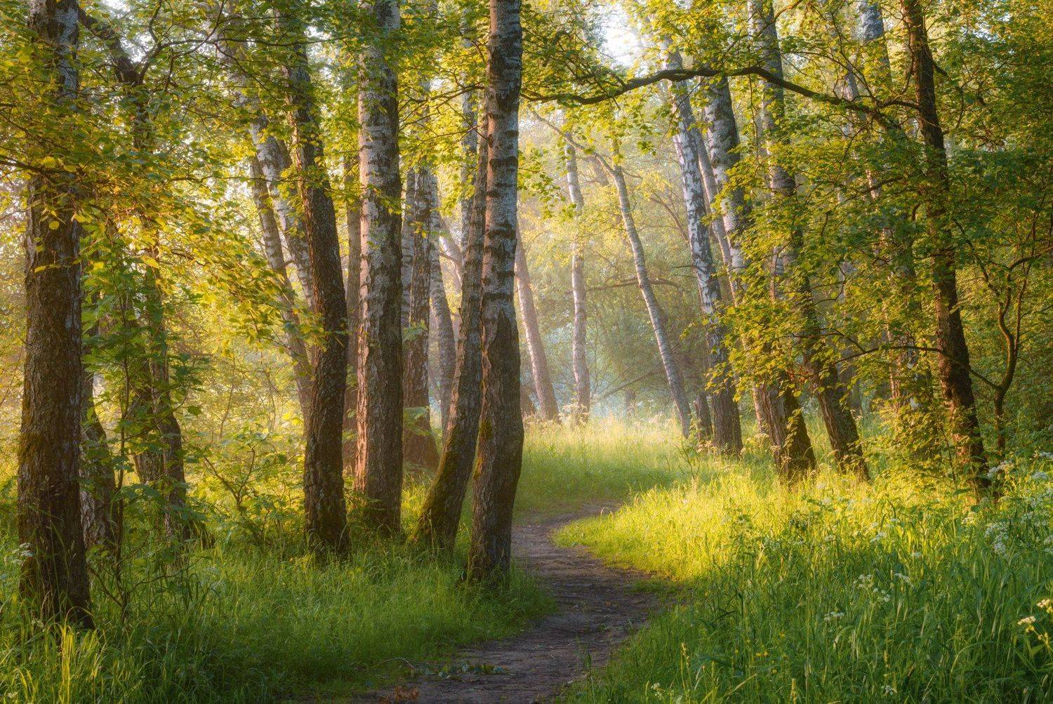 #пейзаж #подмосковье #закат #рассвет #россия #жизнь #мир #чехов #sibirikonium85 , Морозов Юрий