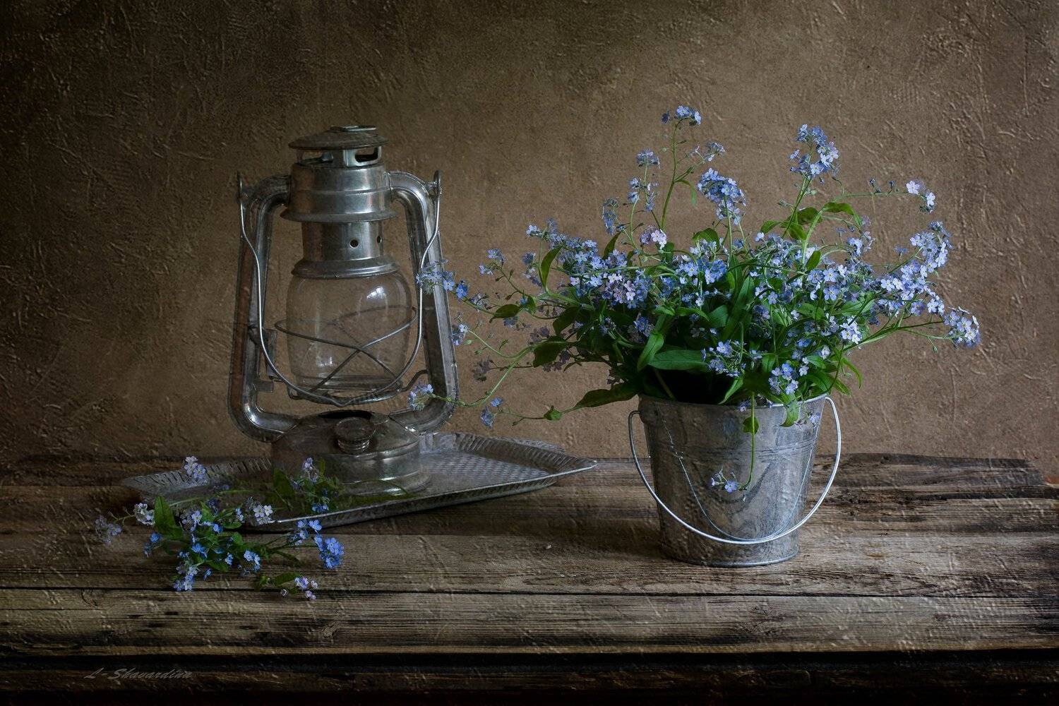 , Елизавета Шавардина