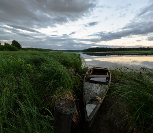 Перед дождем
