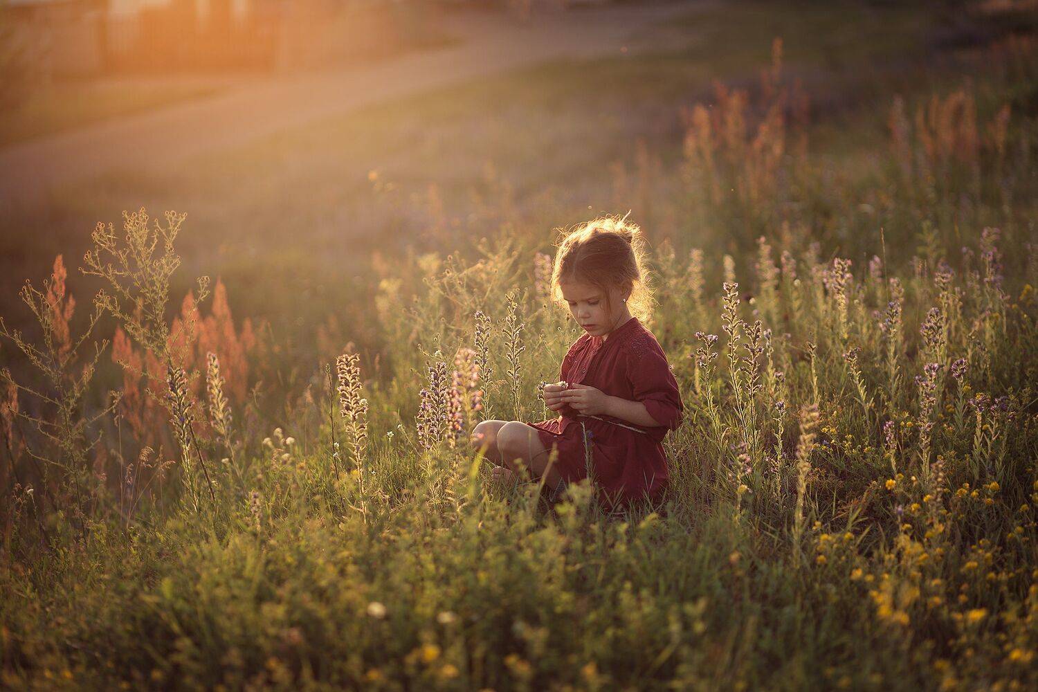 , Дарья Степанова