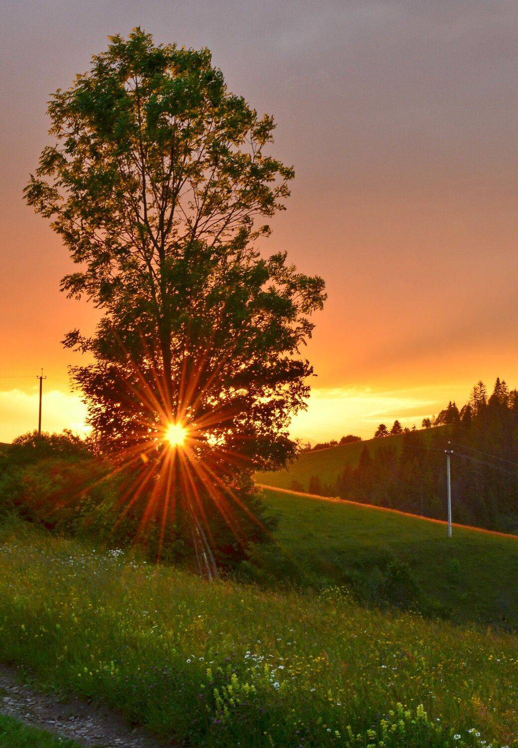 карпаты, боржава, закат, Валерий Наумов