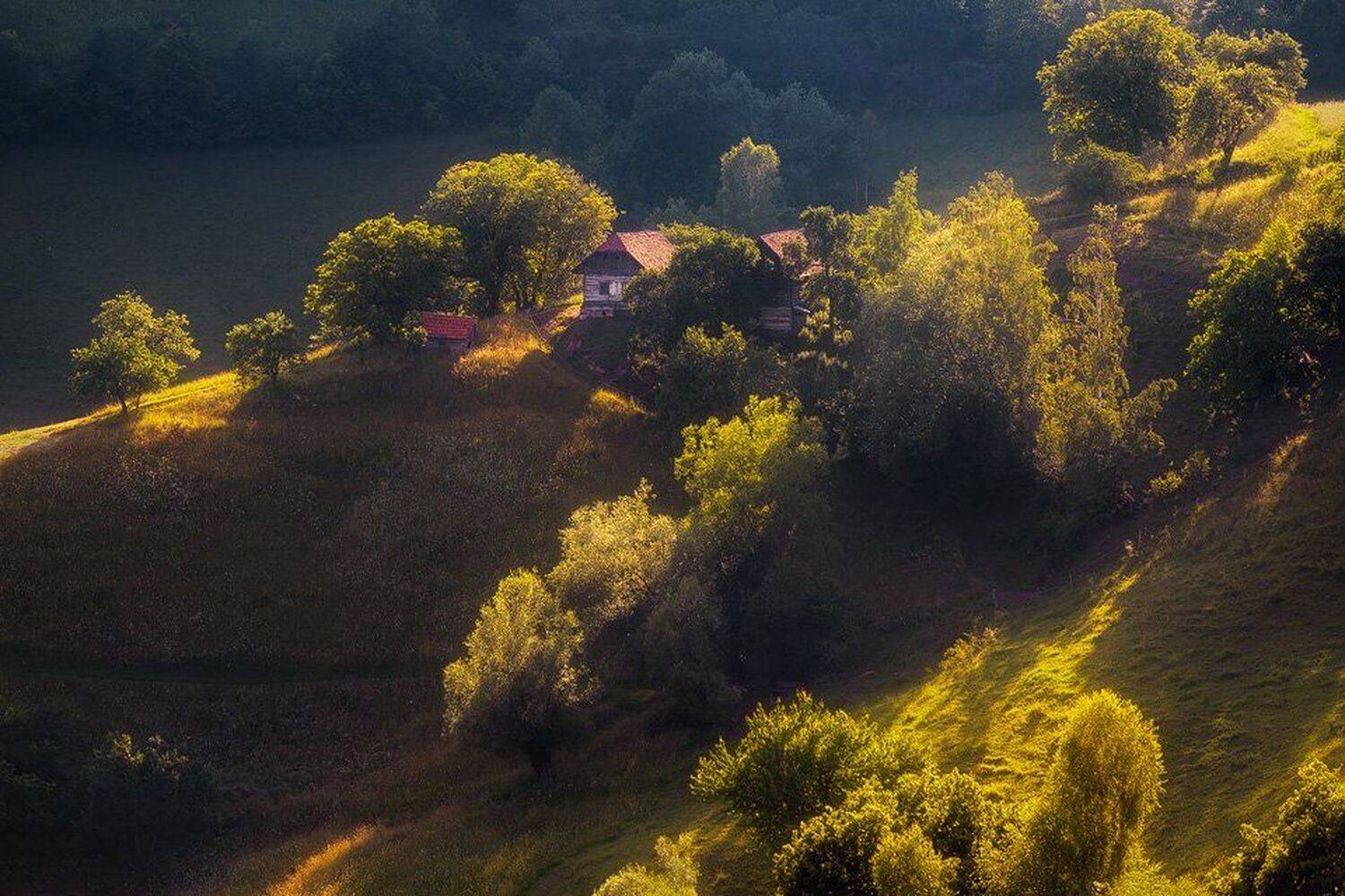 , Stefan Chirobocea
