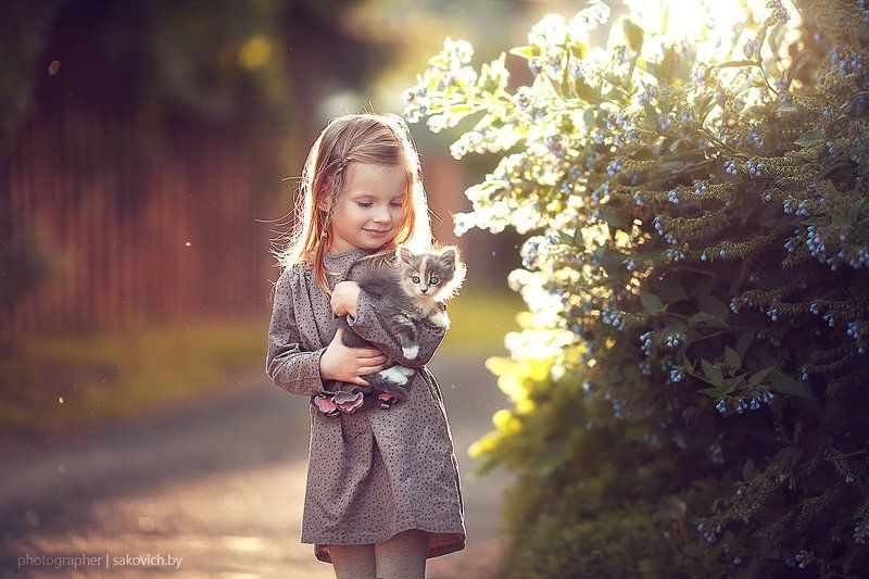 Котятки) фото превью