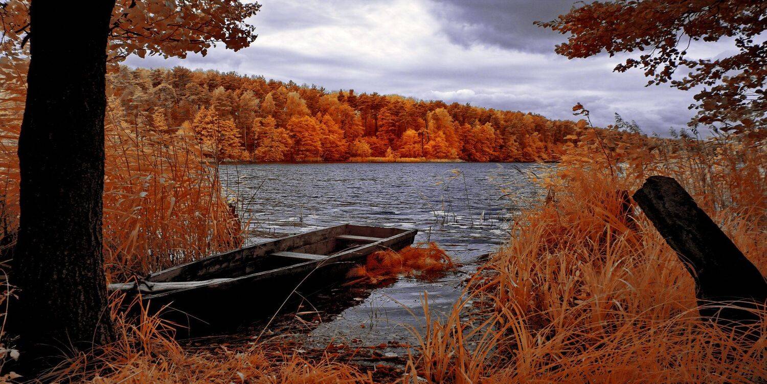 infrared,ик-фото,инфракрасное фото,инфракрасная фотография,пейзаж,природа,беларусь,осень, Sixten ( Сергей )