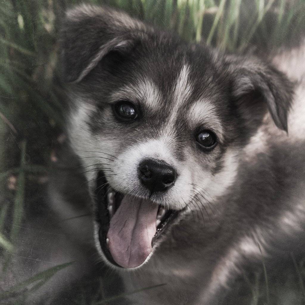 , Рублёв Дмитрий