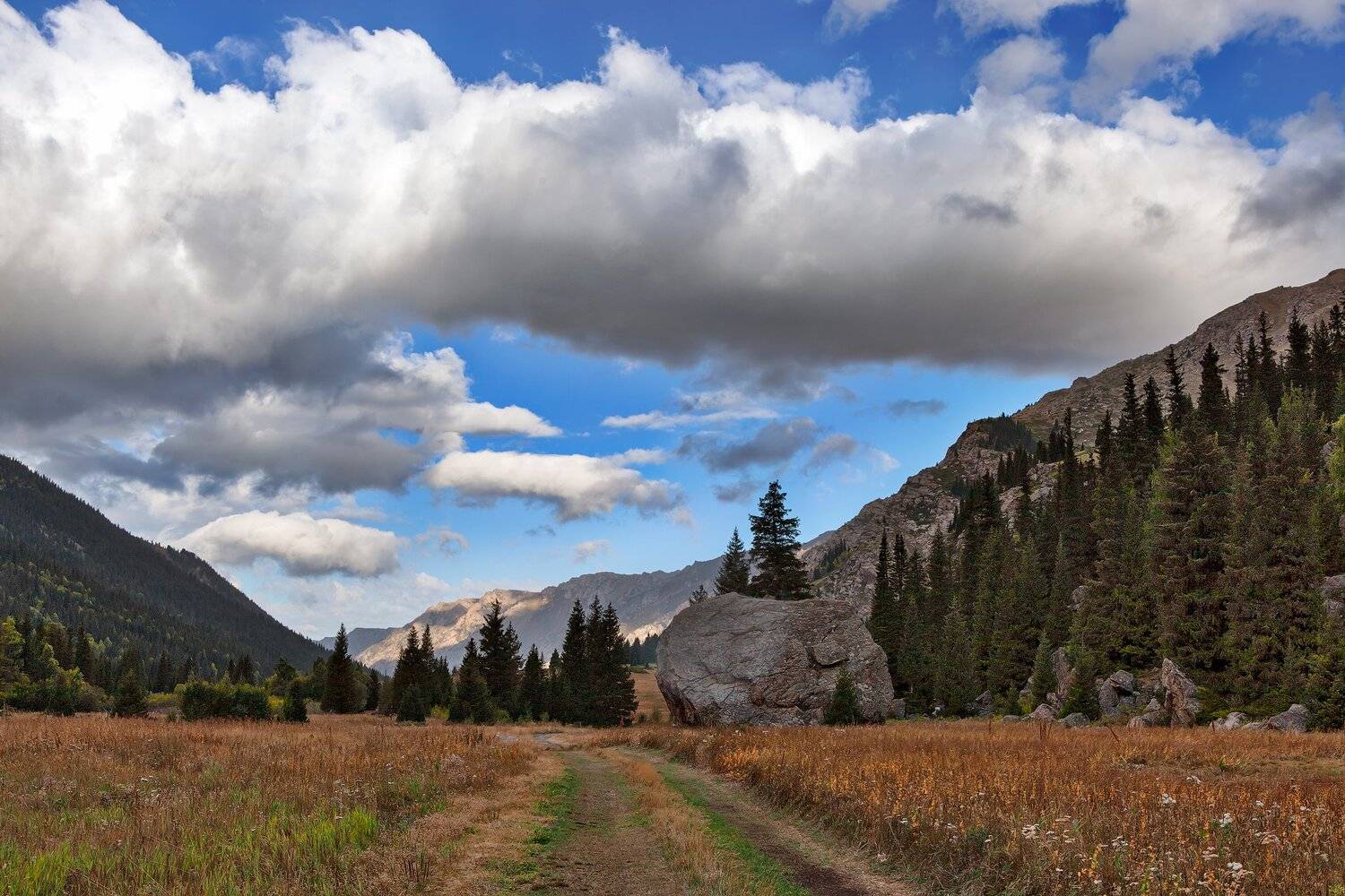 , Илья Афанасьев