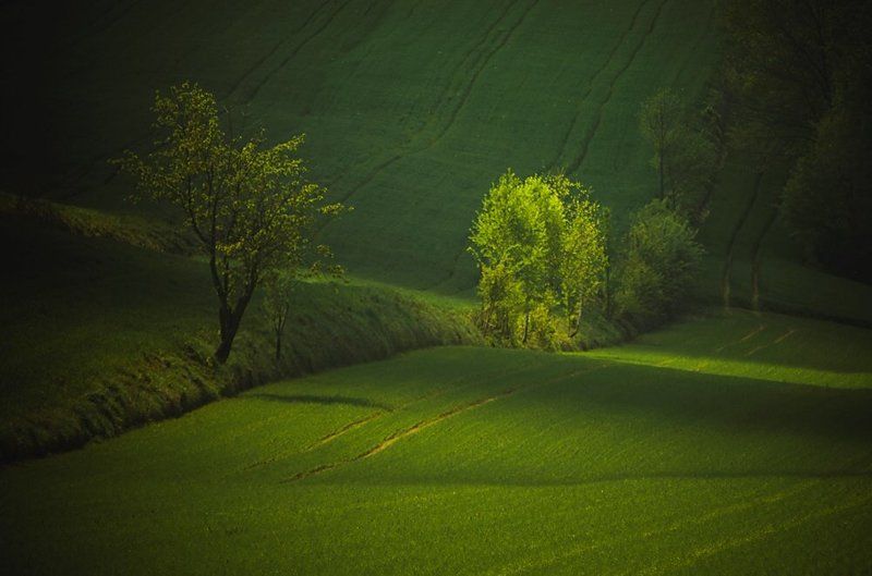 Roztocze фото превью