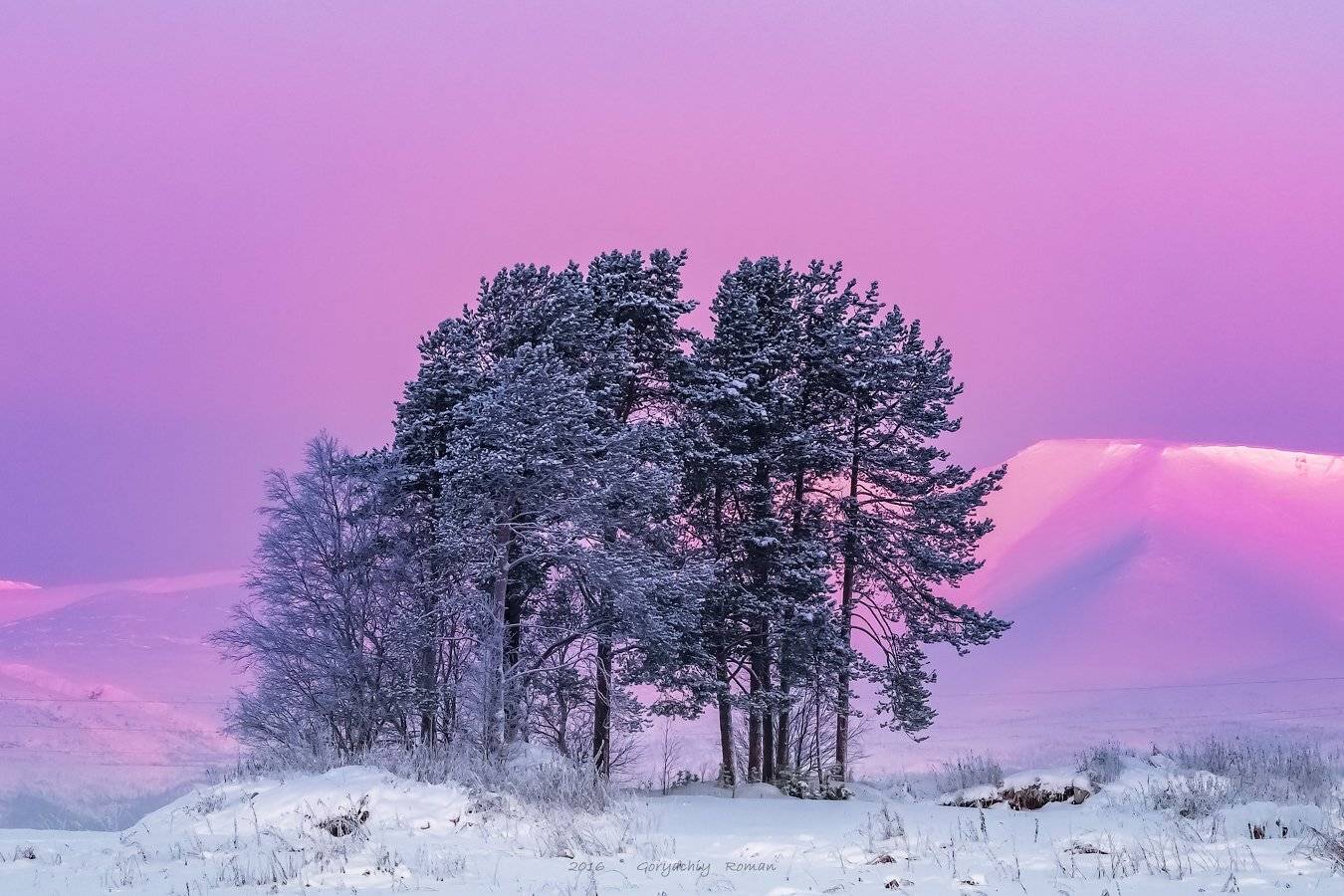 кольский, север,заполярье,зима, вечер, хибины,, Роман Горячий