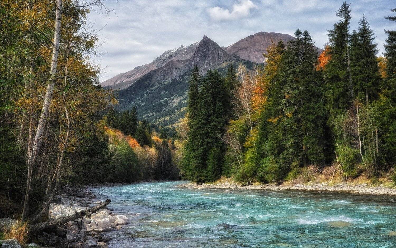 , Александр Круль