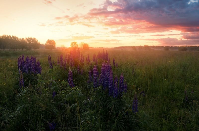 *** фото превью