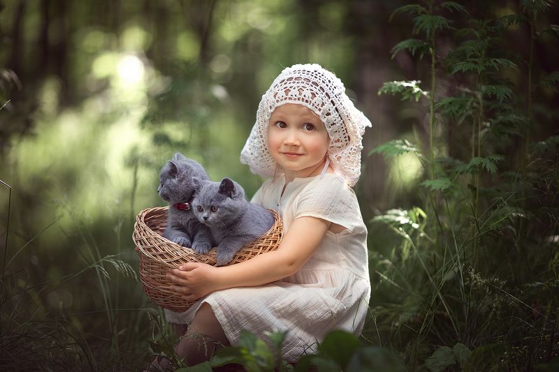 Котята фото превью