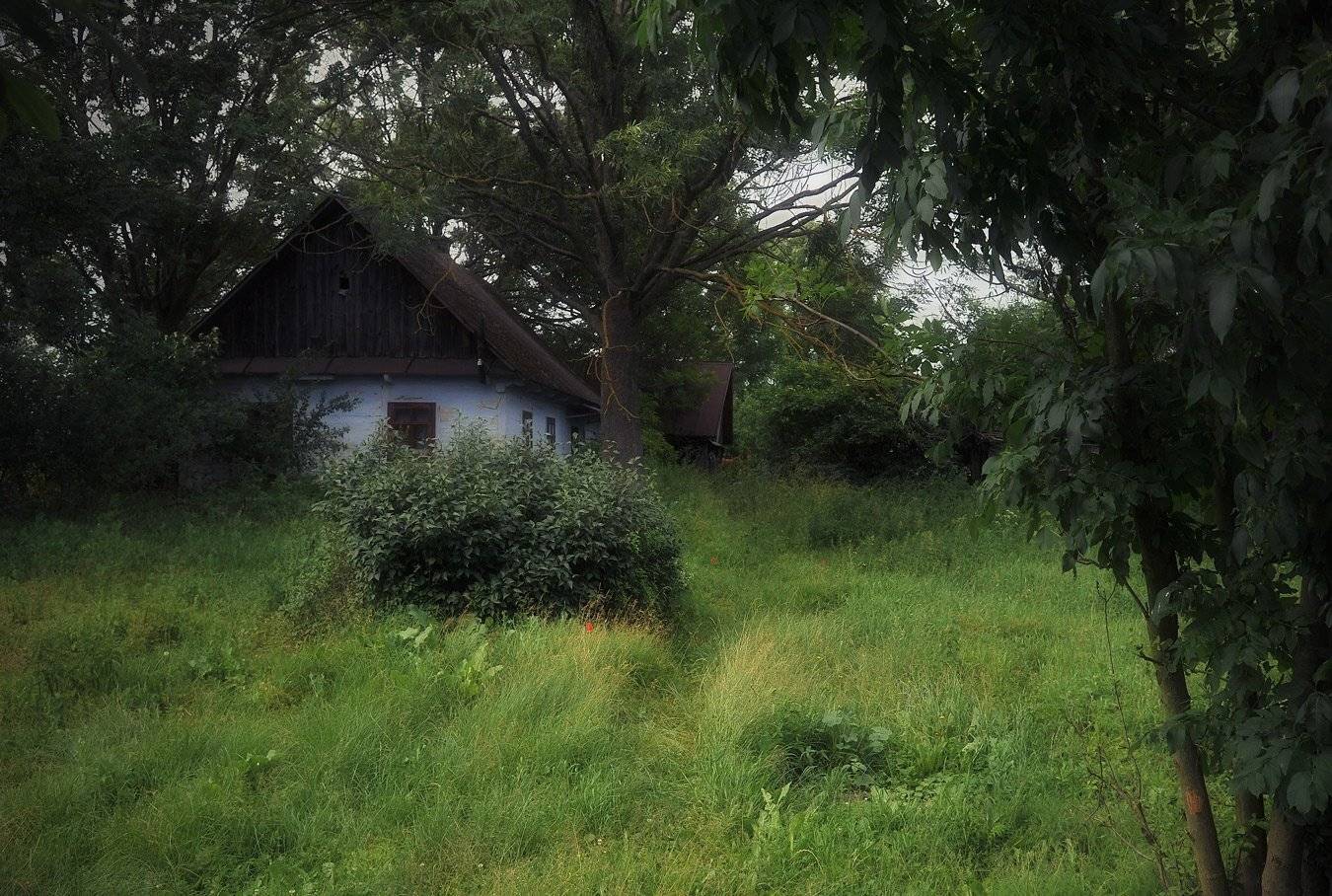 , Володимир Карчевський