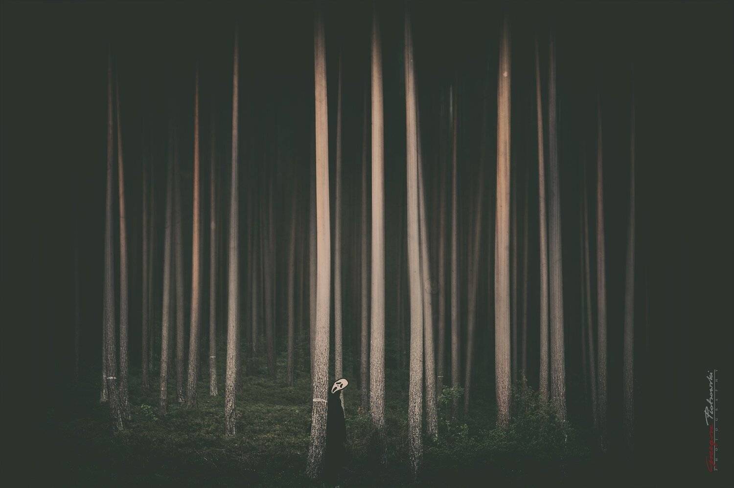 surreal, Grzegorz Piotrowski