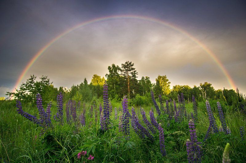 Вечерний дождь  фото превью