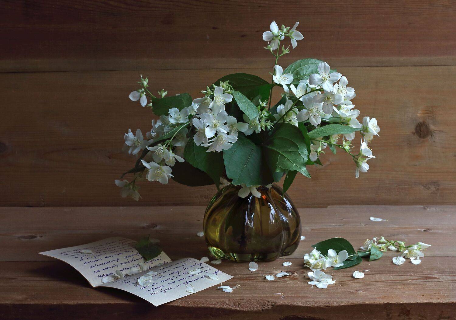 жасмин, ваза, письмо, Марина Кулакова