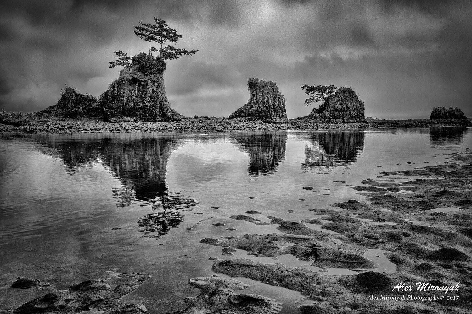 океан, побережье, закат, рассвет, прибой, тихий, орегон, сша, ландшафт, волна, скала, дерево, чб, черно-белая, Alex Mironyuk