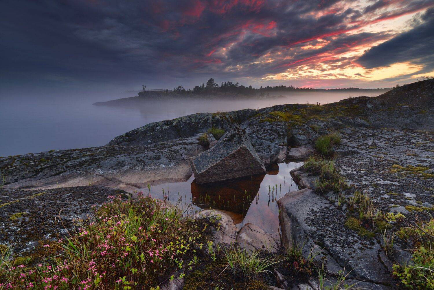 , Максим Евдокимов (www.wildphotorus.ru)