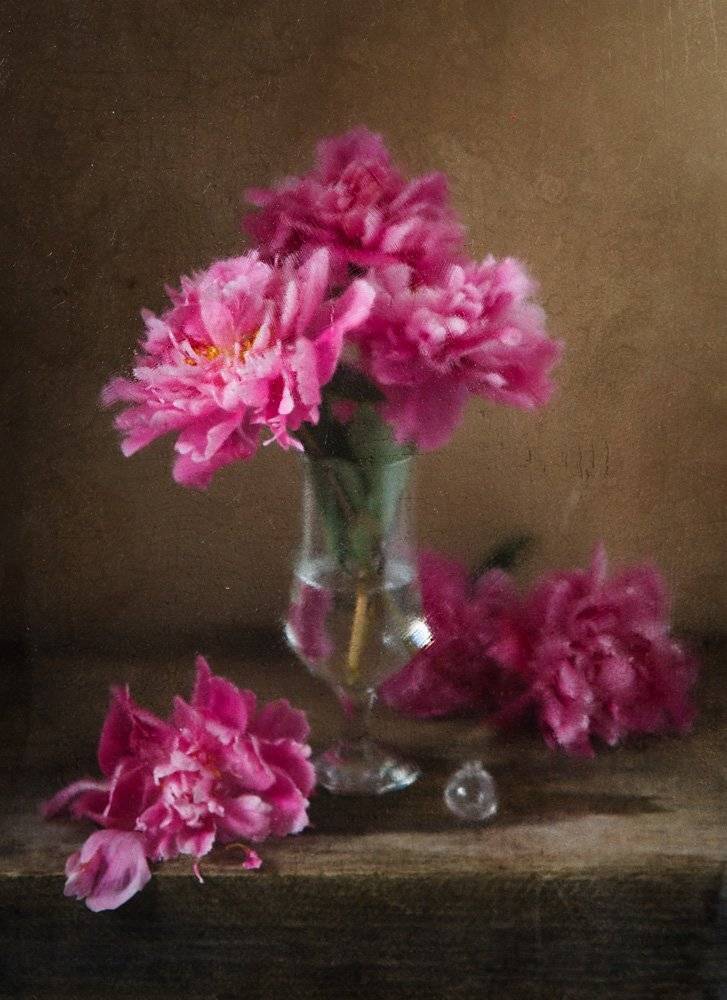 пионы, натюрморт, вазелин, полиэтилен, Виктория