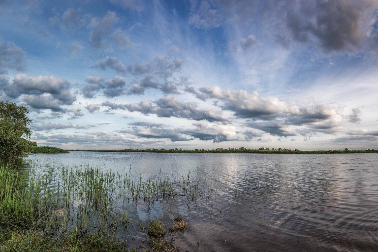 , Юрий Пужалин