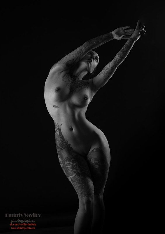 ню, эротика, art_vavilov, Контуры фото превью
