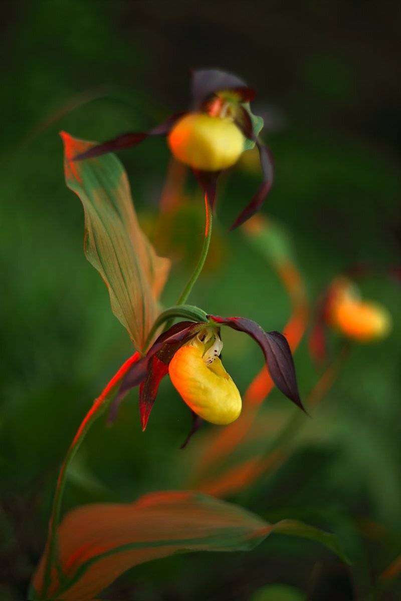 , Сергей Кузнецов