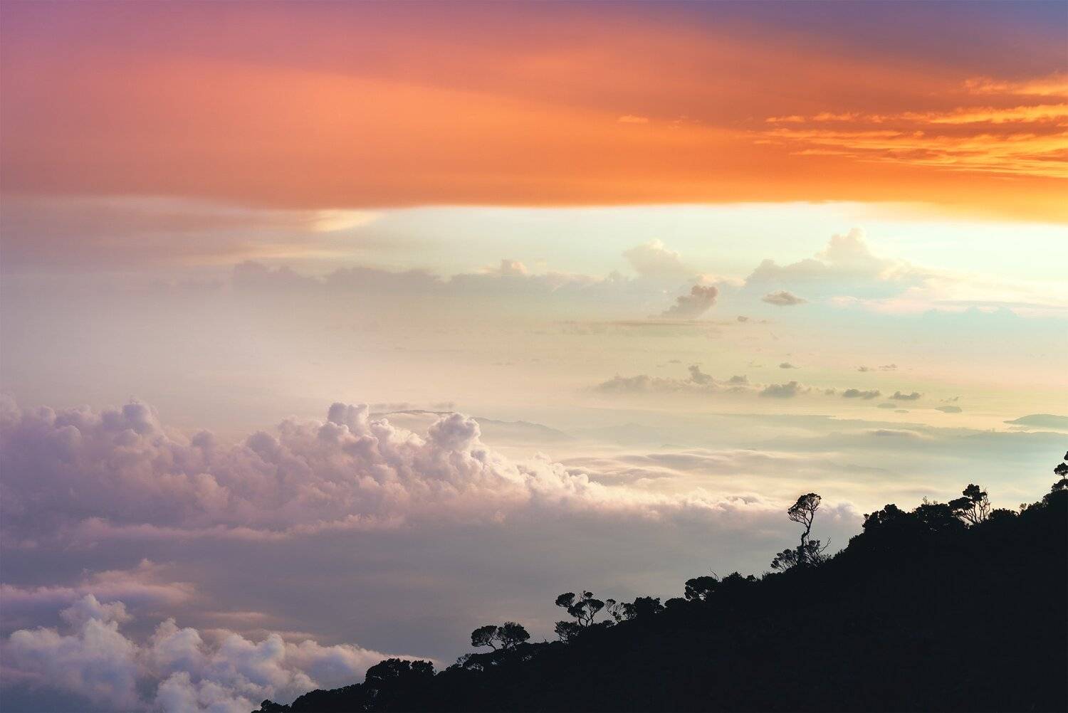 , Михаил Туркеев