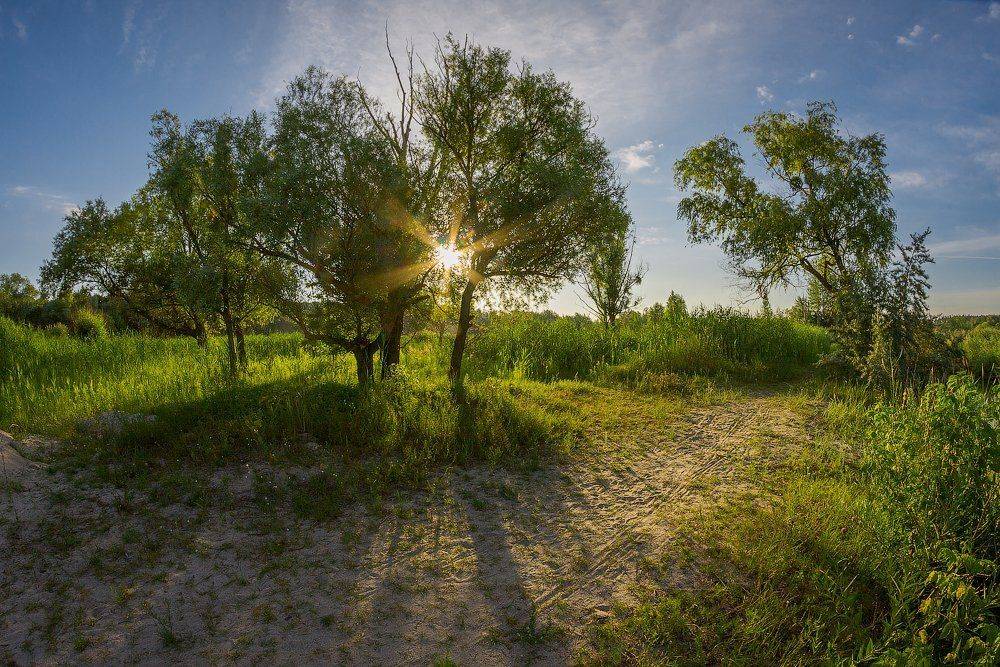 пейзаж,природа,закат,рассвет,утро,лето, Taras