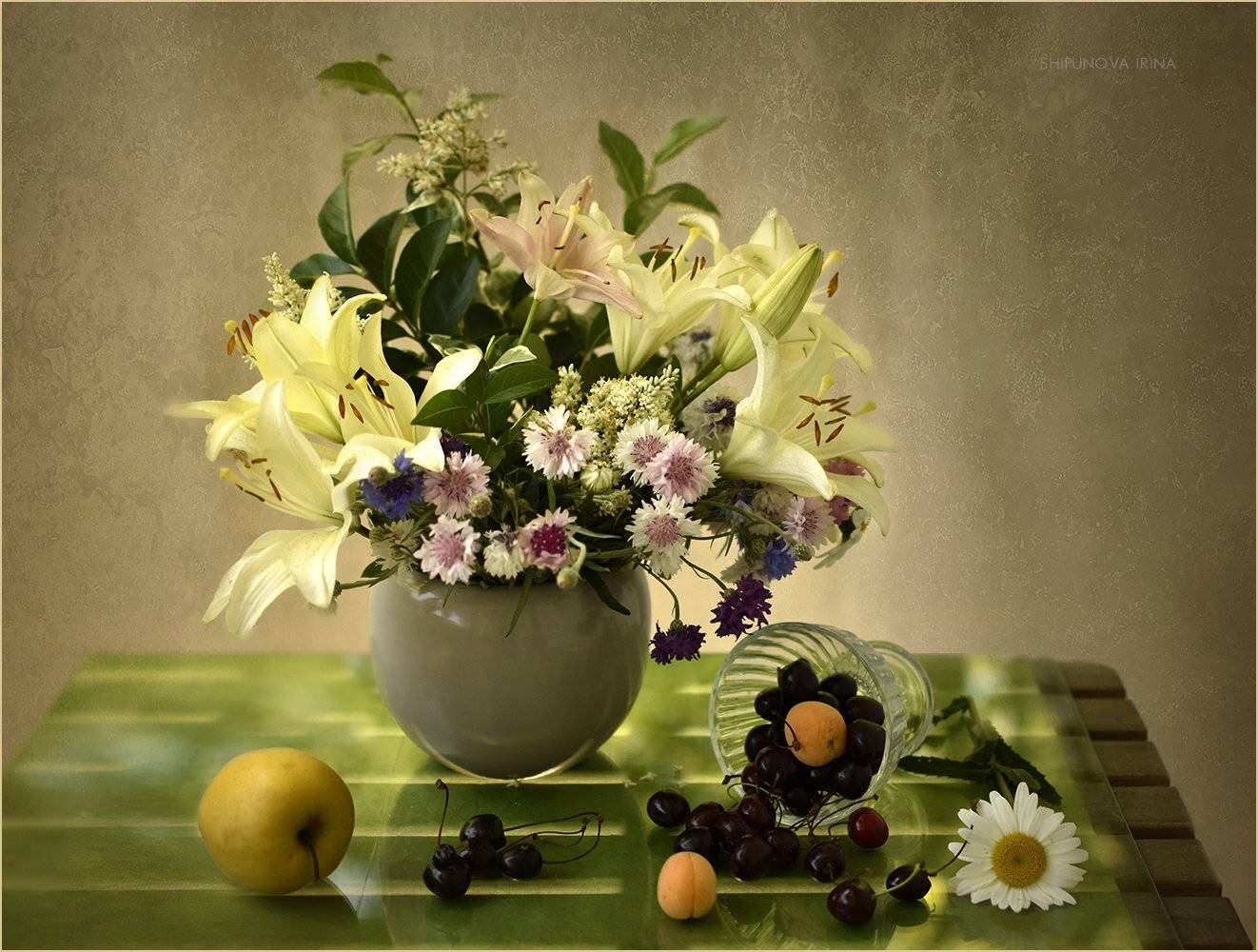 , Шипунова Ирина